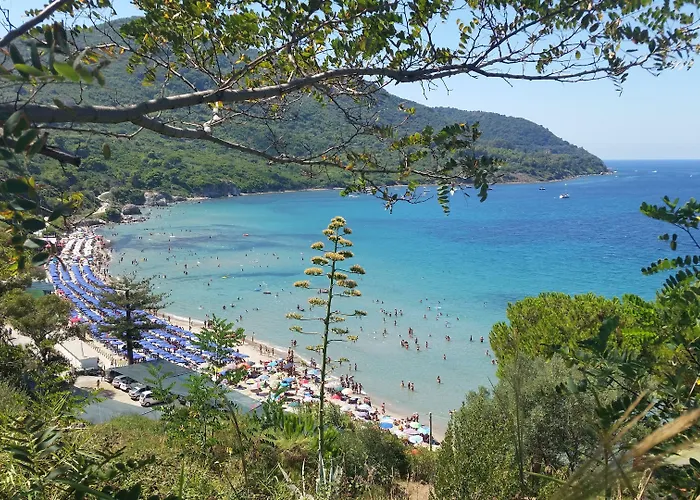 I DelfiniBed and Breakfast